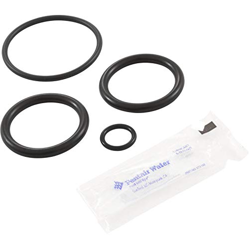 Pentair 273109 Noncorosive Slide O-Ring Replacement Kit - Image 1