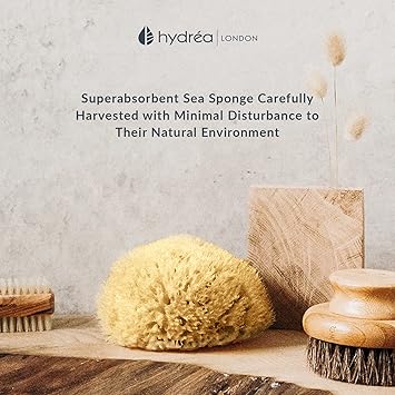 Hydrea London Natural Sea Sponge 556 Premium Mediterranean Honeycomb Unbleached Natural Sponge for Bath and Shower for Adults Women Men Children and Baby - Image 4