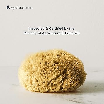 Hydrea London Natural Sea Sponge 556 Premium Mediterranean Honeycomb Unbleached Natural Sponge for Bath and Shower for Adults Women Men Children and Baby - Image 5