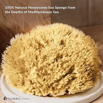 Hydrea London Natural Sea Sponge 556 Premium Mediterranean Honeycomb Unbleached Natural Sponge for Bath and Shower for Adults Women Men Children and Baby - Image 2