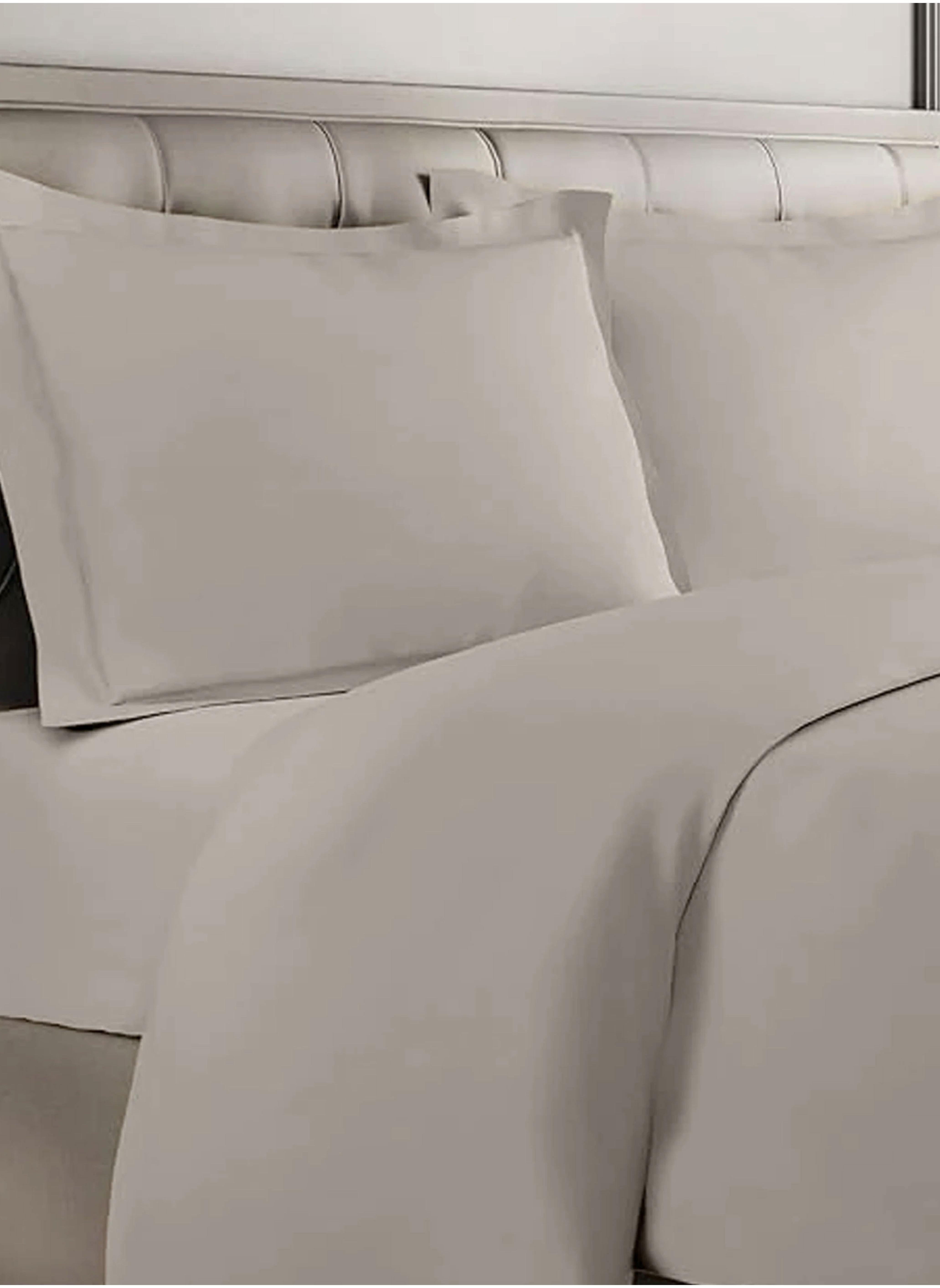 topSlotContent