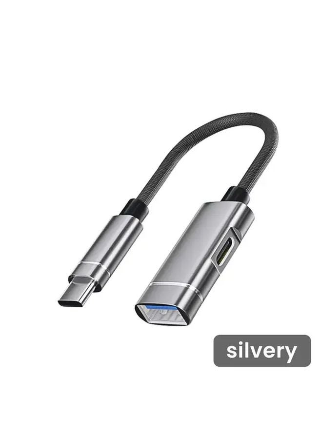 Silvery 2 in 1 USB C OTG Adapter and PD Charger 10W Fast Power Delivery - Image 1