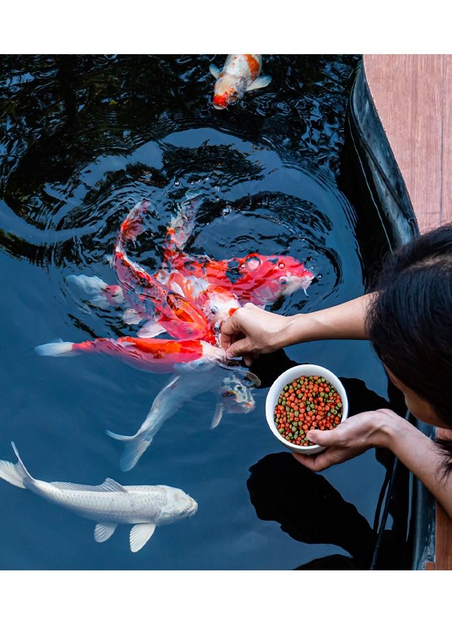 تايو طعام اسماك اقتصادي من تايو ، 20 كجم - Image 3