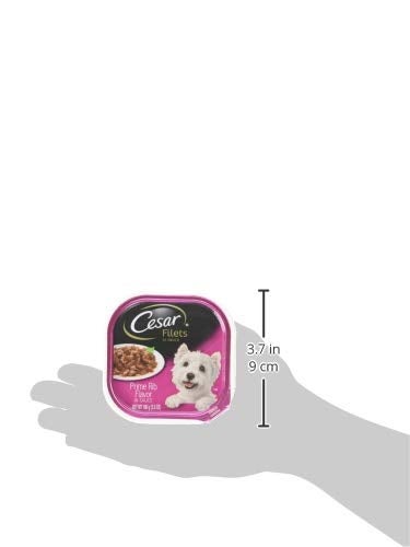 CESAR Adult Wet Dog Food Filets in Gravy Prime Rib Flavor, 3.5 oz. Easy Peel Trays, Pack of 24 - Image 3