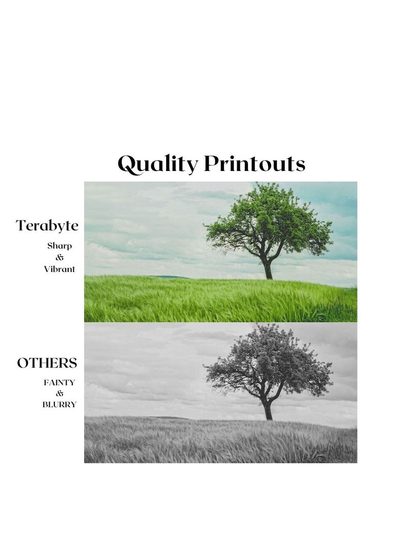 TERABYTE TONER CARTRIDGE TN2405 - Image 4