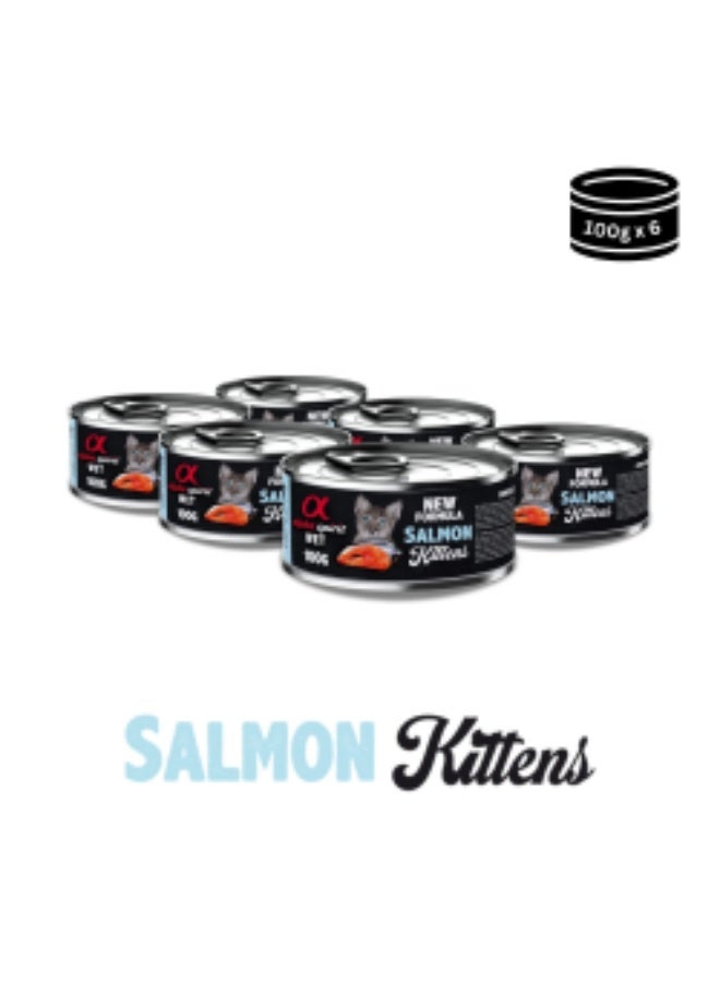 Alpha Spirit Wet Food for Kittens Salmon, 6 x 100 g cans - Image 2