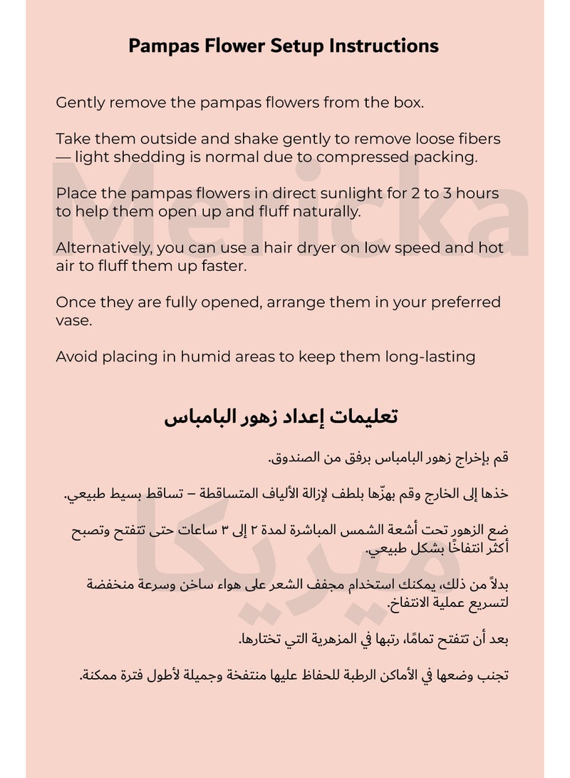 70 Pcs | 15 Pcs White Pampas & 15 Pcs Natural Pampas & 30 Pcs Reed Grass 10 Bunny tail Natural Dried Pampas Grass for Flower Arrangements Home Decor Boho