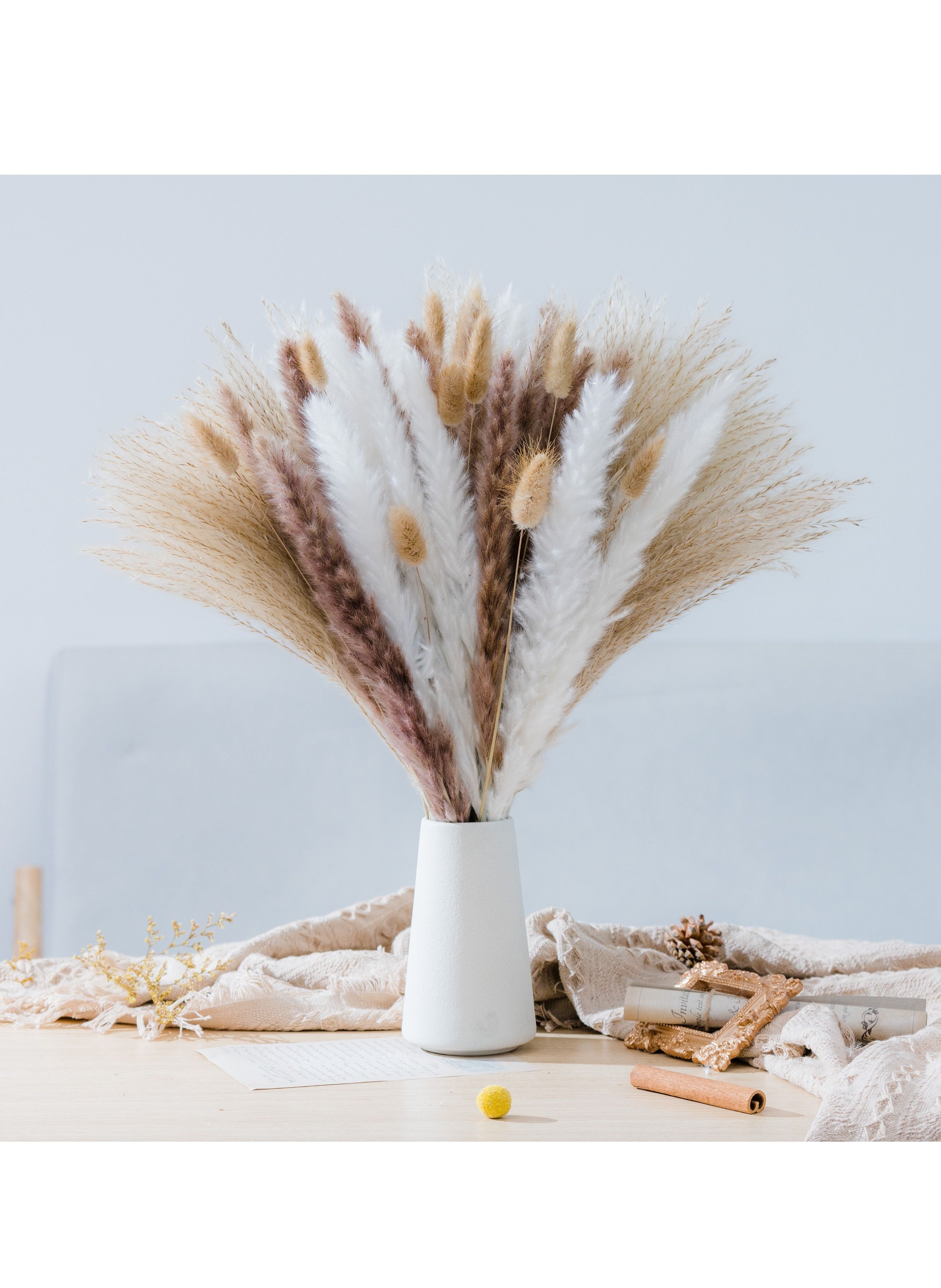 70 Pcs | 15 Pcs White Pampas & 15 Pcs Natural Pampas & 30 Pcs Reed Grass 10 Bunny tail Natural Dried Pampas Grass for Flower Arrangements Home Decor Boho 