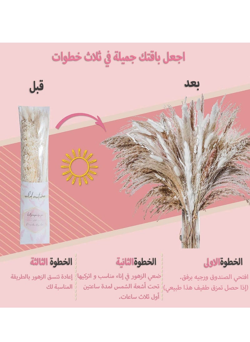 MERICKA - 70 Pcs | 15 Pcs White Pampas & 15 Pcs Natural Pampas & 30 Pcs Reed Grass 10 Bunny tail Natural Dried Pampas Grass for Flower Arrangements Home Decor Boho - Image 1