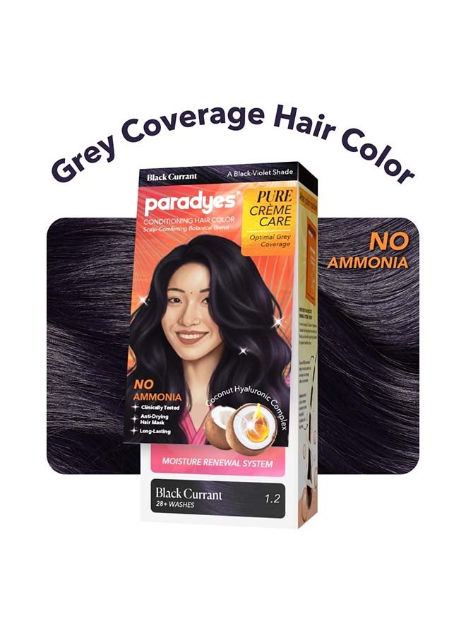 Paradyes Pure Creme Care No Ammonia Hair Color Black Currant 1.2 - Image 3