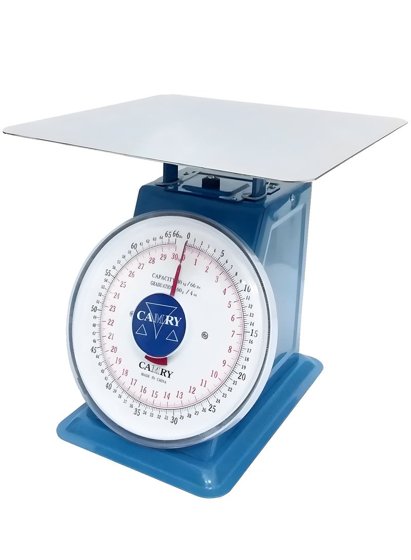 CAMRY Analog Weighing Scale 100kg Blue - Image 1