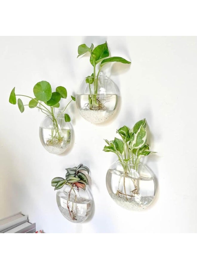 Arabest Paporich 4 Pcs Wall Hanging Planter Propagation Station, Glass Flower Vase for Hydroponics Plants, Bathroom, Home Office Living Room Decor Gift - Image 1