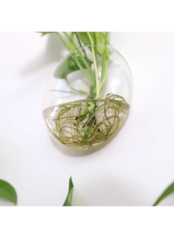 Arabest Paporich 4 Pcs Wall Hanging Planter Propagation Station, Glass Flower Vase for Hydroponics Plants, Bathroom, Home Office Living Room Decor Gift - Image 4