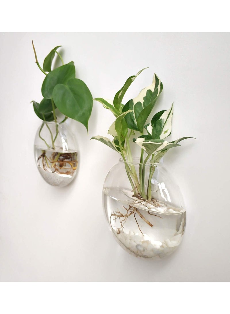 Arabest Paporich 4 Pcs Wall Hanging Planter Propagation Station, Glass Flower Vase for Hydroponics Plants, Bathroom, Home Office Living Room Decor Gift - Image 5