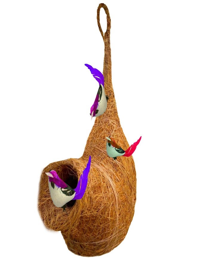 LIVEONCE Decorative Bird nest with 3 Birds-Natural Color - Image 1