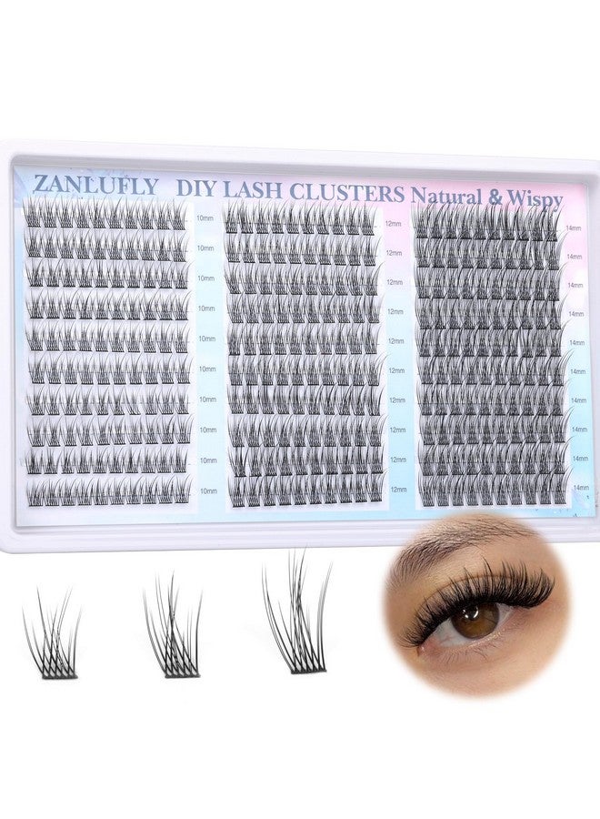 zanlufly Lash Clusters Wispy Eyelash Clusters C Curl Individual Lashes zanlufly Natural 300Pcs Cluster Lashes Eyelash Extension 10 12 14MM DIY Lash Extension - Image 1
