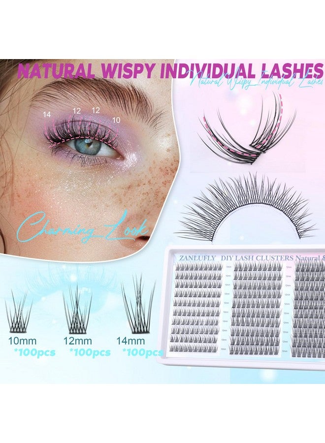 zanlufly Lash Clusters Wispy Eyelash Clusters C Curl Individual Lashes zanlufly Natural 300Pcs Cluster Lashes Eyelash Extension 10 12 14MM DIY Lash Extension - Image 2