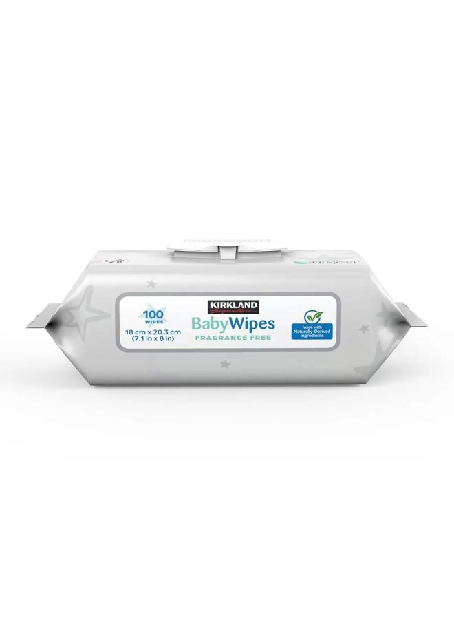 Kirkland Signature Kirkland Signature Baby Wipes Fragrance Free 100 Wipes  - Image 1