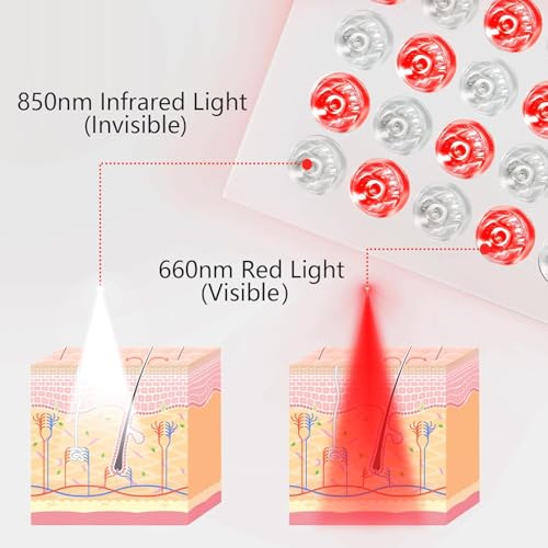BeQuest: Quest For More BeQuest Red Light For Body, 660Nm 850Nm Near Infrared Light Lamp Panel With 40Pcs Dual Chips, Flexible & Moveable Red Light Lamp For Face,Knee,Back - Image 2
