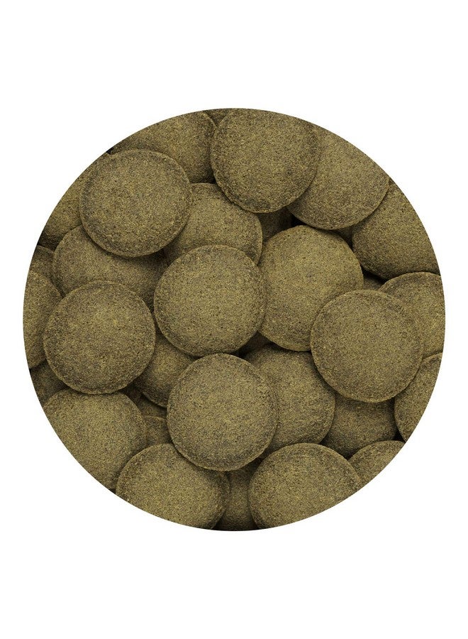 Hikari Usa Inc Tropical Sinking Algae Wafers For All Life Stages Fish, 40G - Image 4