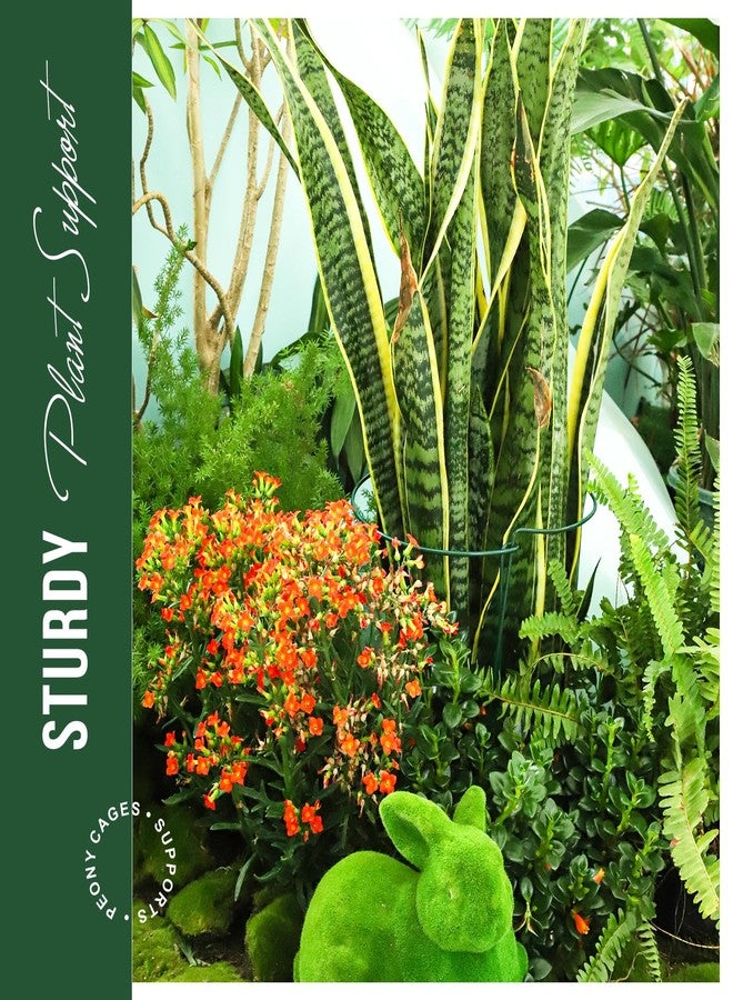 LEOBRO 12PCS Plant Supports, Peony Cages and Supports, Plant Stakes, Plant Support Stakes for Indoor Plants, Outdoor Plants, Monstera Hydrangea Support Cage, 10" W x 15.8" H - Image 5