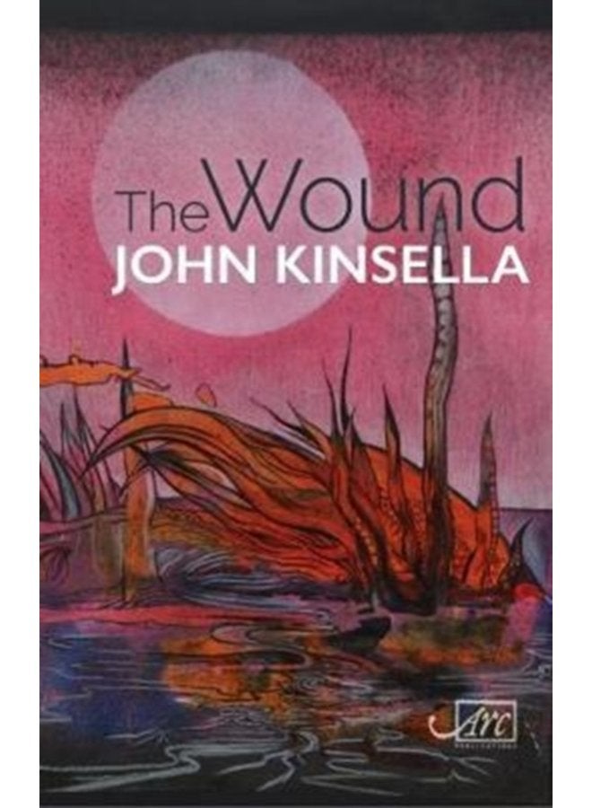 The Wound - Paperback