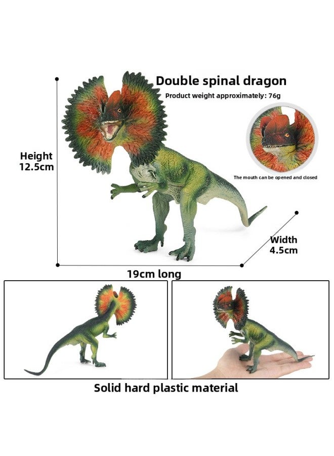 Jurassic Children's Dinosaur Toy Simulation Wild Animal Ornaments Tyrannosaurus Tyrannosaurus Dinosaur Model Suit