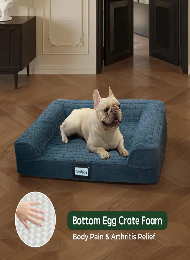 بالنس سرير BALANCE الطبي للكلاب، أريكة إسفنجية على شكل خلايا البيض لنوم الحيوانات الأليفة، أريكة للحيوانات الأليفة بغطاء قابل للإزالة والغسل وبطانة مقاومة للماء، سرير مريح للكلاب الصغيرة، أزرق - Image 3
