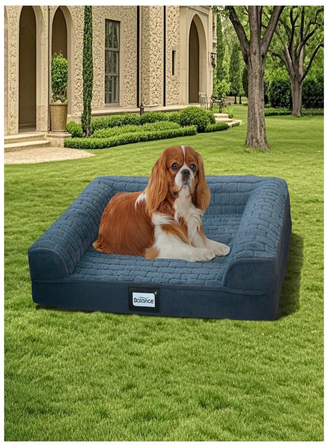 بالنس سرير BALANCE الطبي للكلاب، أريكة إسفنجية على شكل خلايا البيض لنوم الحيوانات الأليفة، أريكة للحيوانات الأليفة بغطاء قابل للإزالة والغسل وبطانة مقاومة للماء، سرير مريح للكلاب الصغيرة، أزرق - Image 1