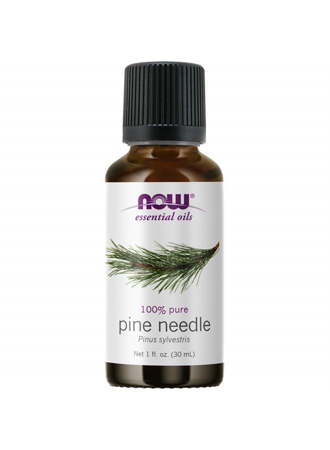 now Essential Oils, Pine Needle Oil, Purifying Aromatherapy Scent, Steam Distilled, 100% Pure, Vegan, Child Resistant Cap, 1-Ounce - Image 1