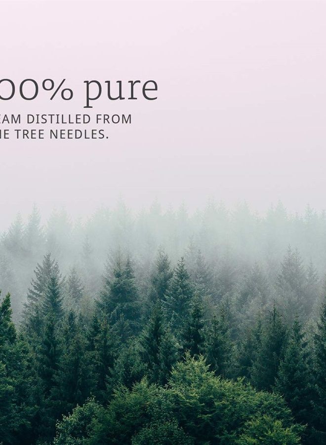 now Essential Oils, Pine Needle Oil, Purifying Aromatherapy Scent, Steam Distilled, 100% Pure, Vegan, Child Resistant Cap, 1-Ounce - Image 3