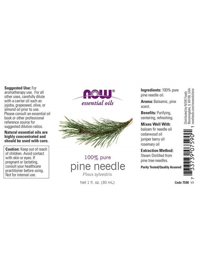 now Essential Oils, Pine Needle Oil, Purifying Aromatherapy Scent, Steam Distilled, 100% Pure, Vegan, Child Resistant Cap, 1-Ounce - Image 2