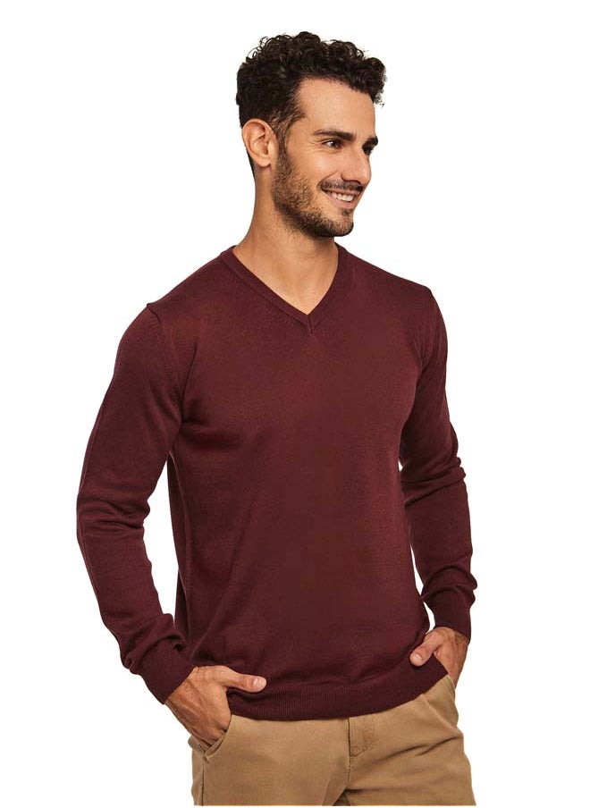 Fancy V Neck Basic Pullover - pzsku/Z6227412AA804ACD08EFCZ/45/_/1697971480/42f977b6-5441-445f-82c8-bfd1cc8a21cb