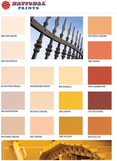 NATIONAL PAINTS طلاء مينا بقاعدة زيتية 3.6 لتر، ألوان متنوعة  - Image 4