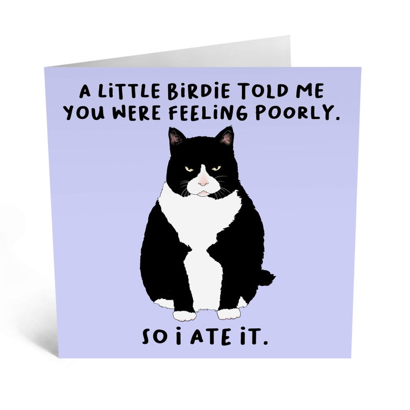 Central 23 - Funny Get Well Soon Card For Her Him - 'A Little Birdie Feeling Poorly' - Cheer Up Gifts For Women Men - Cat Greeting Cards Sympathy Memorial Thinking Of You - Comes With Fun Stickers - Image 2