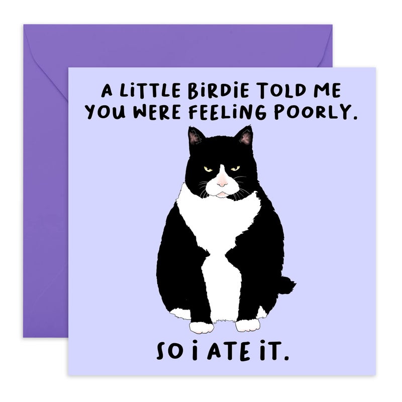 Central 23 - Funny Get Well Soon Card For Her Him - 'A Little Birdie Feeling Poorly' - Cheer Up Gifts For Women Men - Cat Greeting Cards Sympathy Memorial Thinking Of You - Comes With Fun Stickers - Image 1