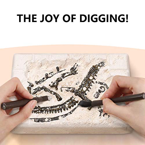 10Leccion Dinosaur Fossil Digging Kit for Kids Eggs Excavation Dig Kit Toys for Kids 57 812 Great Birthday for Boys and Girls - Image 5