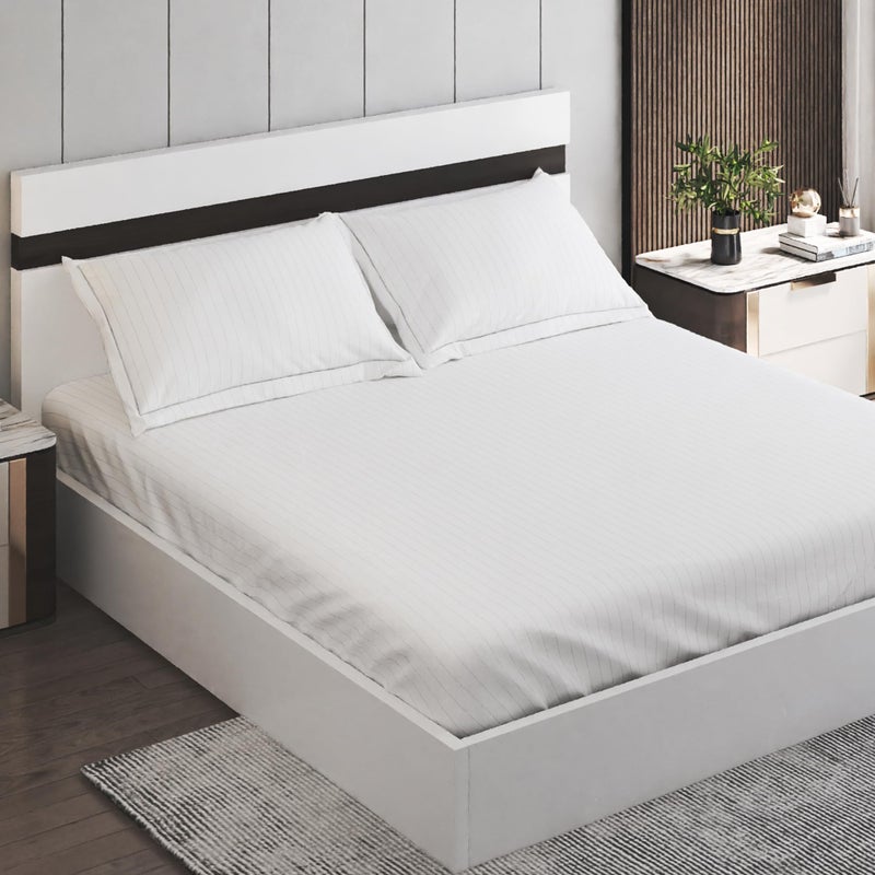 Home Centre Campbell Cotton 210TC Striped 3Pcs Super King Bedsheet Set - Image 1