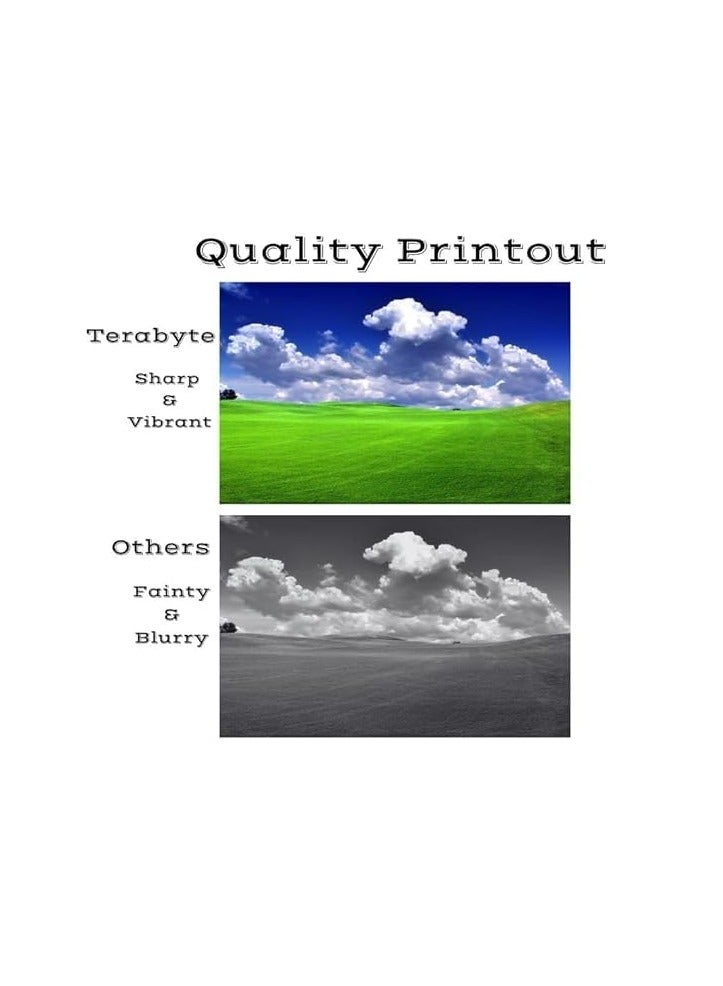 Terabyte 305A 304A 312A Color Toner Cartridge set for LaserJet Pro 400 Color M451 M475 MFP M476nw and CP2025 Printers (Black) - Image 3