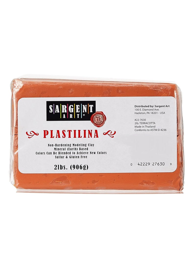 Plastilina Modeling Clay 2-Pound Terra Cotta - pzsku/Z622BAA3A6042C89145DFZ/45/_/1681151853/36a0ff71-4e11-492f-96ae-65e9bb757a0a