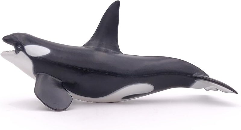 Papo  handpainted  figurine  Marine Life  Killer Whale Figure56000  Collectible  For Children  Suitable for Boys and Girls  From 3 years old - Image 4