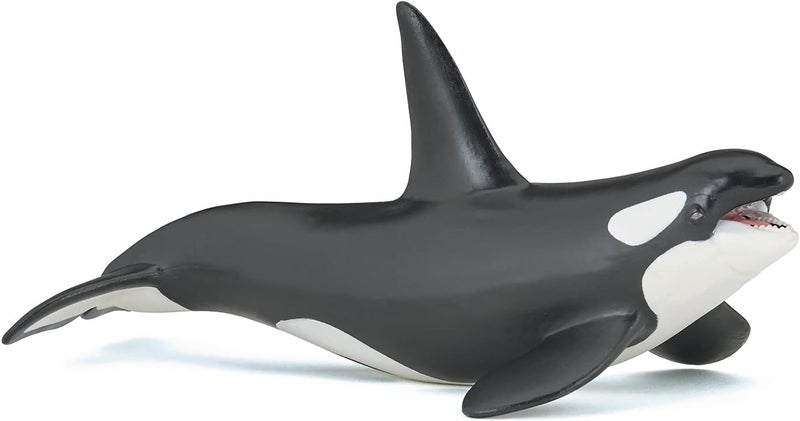 Papo  handpainted  figurine  Marine Life  Killer Whale Figure56000  Collectible  For Children  Suitable for Boys and Girls  From 3 years old - Image 1