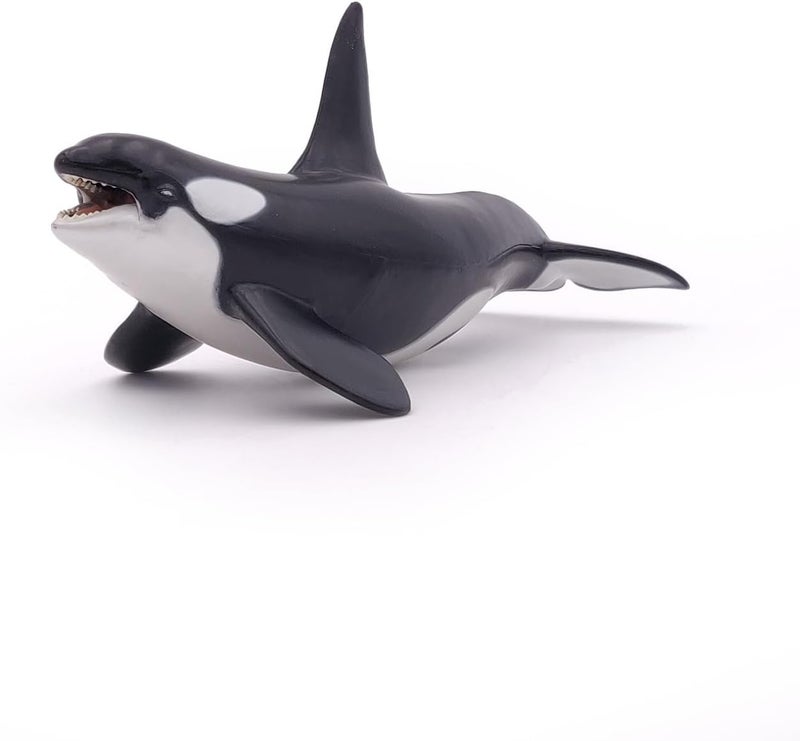 Papo  handpainted  figurine  Marine Life  Killer Whale Figure56000  Collectible  For Children  Suitable for Boys and Girls  From 3 years old - Image 5