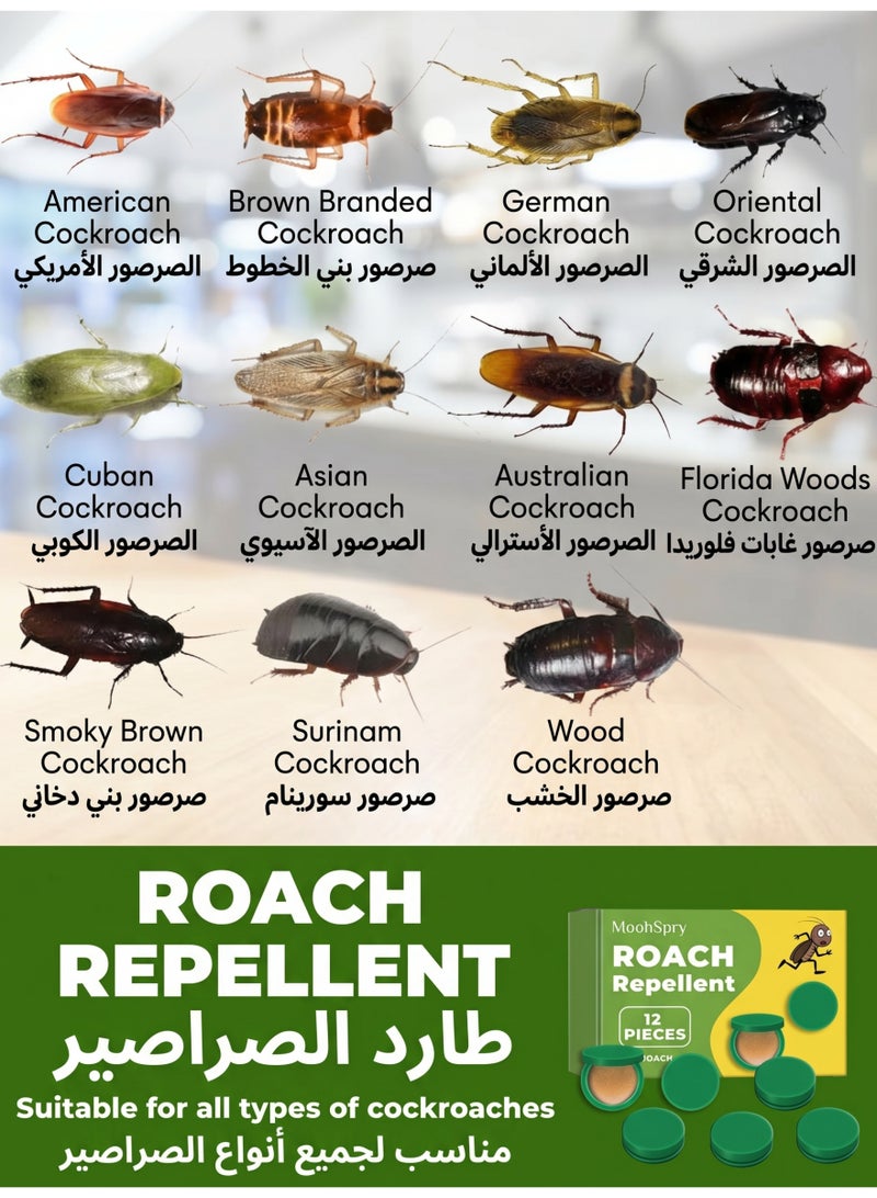 MOONSPRY (2 Boxes x 12 Baits)Home Kitchen Cockroach Killer Safe for Kids and Pets Roach killer, House Pest Control Cock Roach Medicine roach killer - Image 5
