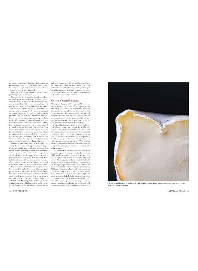 Milk Into Cheese: The Foundations of Natural Cheesemaking Using Traditional Concepts, Tools, and Techniques  - Image 3