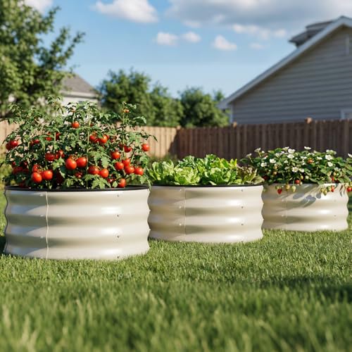 COMHOMA 3 Pack Round Raised Garden Bed 2x2x1ft,Galvanized Metal Planter Box Kit for Outdoor Gardening,Vegetable Flower Herb Growing Beds with Gloves Tools,White - Image 1
