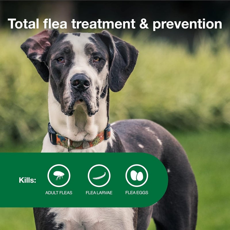 Elanco Advantage II Flea and Lice Treatment for Extra Large Dogs Over 55 lbs - 4 Monthly Doses - Image 4