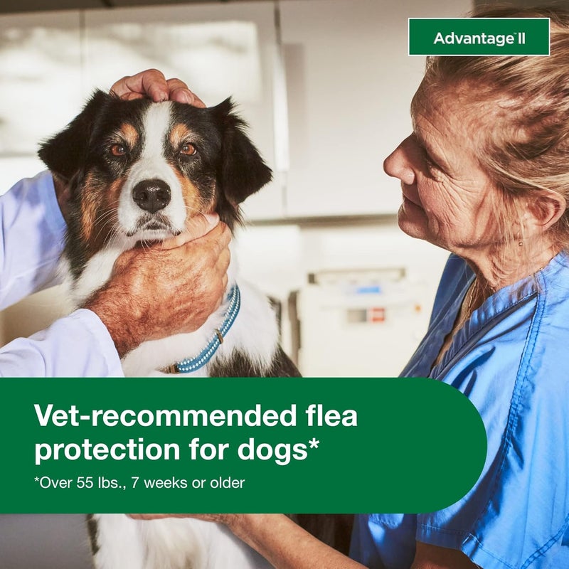 Elanco Advantage II Flea and Lice Treatment for Extra Large Dogs Over 55 lbs - 4 Monthly Doses - Image 5