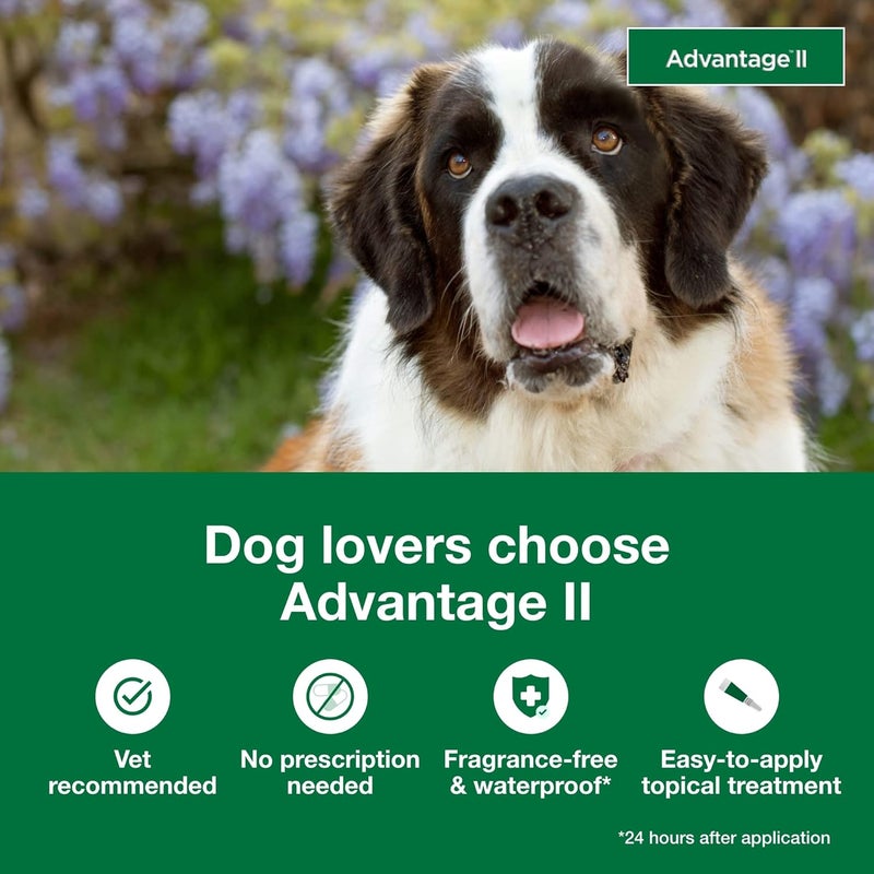 Elanco Advantage II Flea and Lice Treatment for Extra Large Dogs Over 55 lbs - 4 Monthly Doses - Image 3