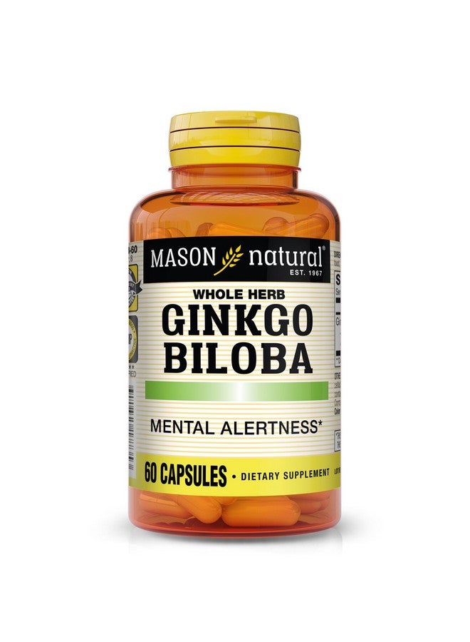 Mason Natural Ginkgo Biloba, 1 Month Supply, Helps to Improve Mental Alertness & Support Optimal Brain Function, 60 Capsules - Image 1